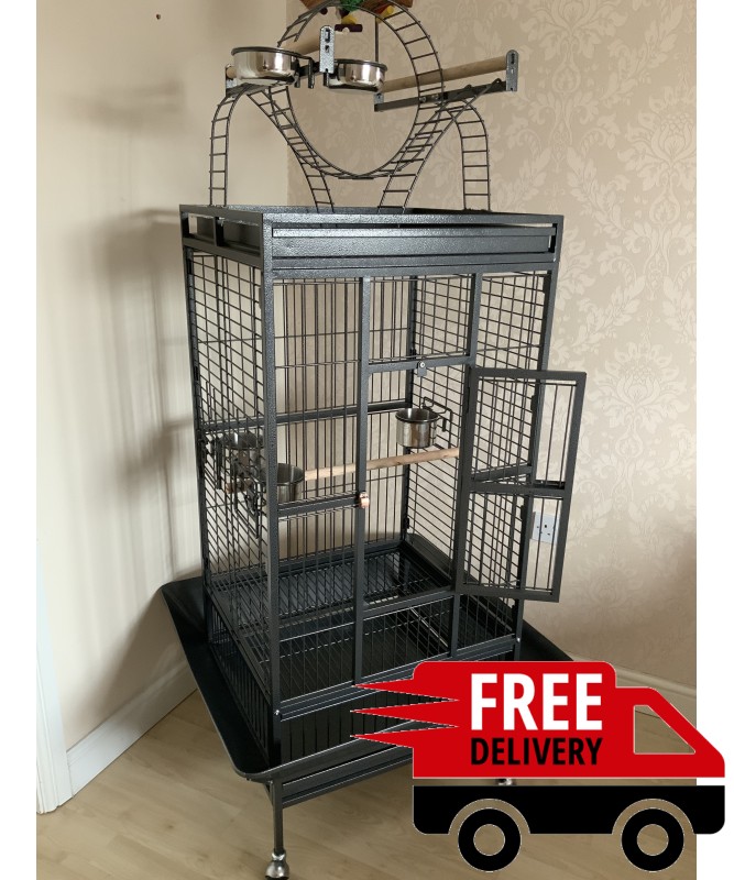 Black bird shop cages for sale